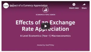 Exchange Rate Appreciation